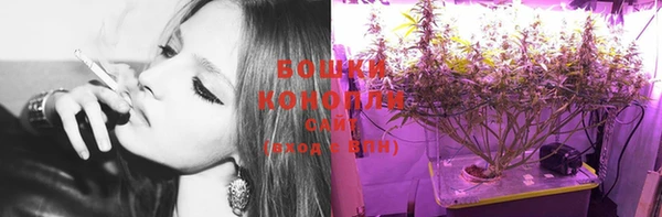 PSILOCYBIN Магадан