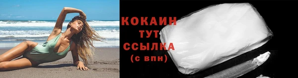 гидра Магас