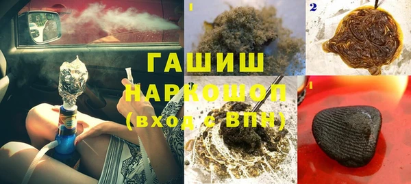 гидра Магас