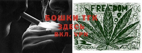 гидра Магас