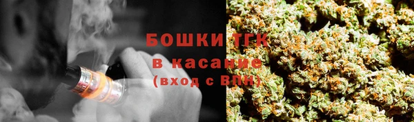 гидра Магас