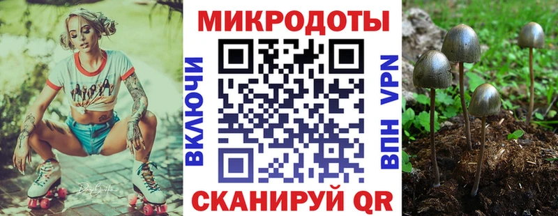 Галлюциногенные грибы Psilocybe  Можайск 