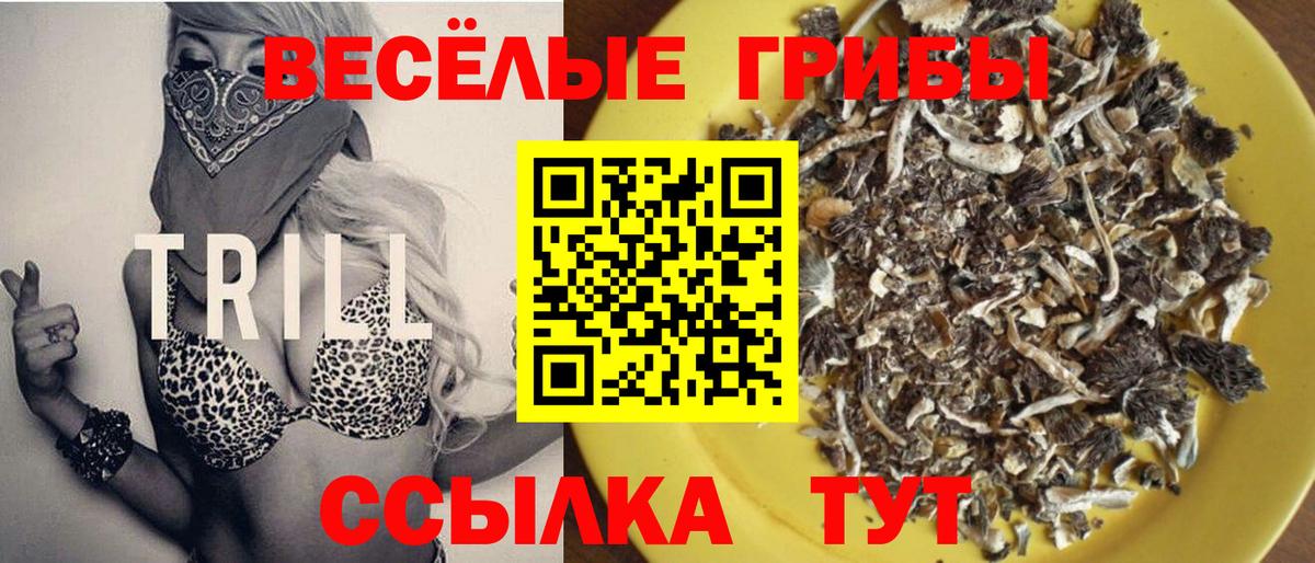 Галлюциногенные грибы GOLDEN TEACHER  Вход с VPN  Можайск  Галлюциногенные грибы мухоморы 