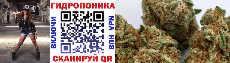 Конопля семена  Можайск 
